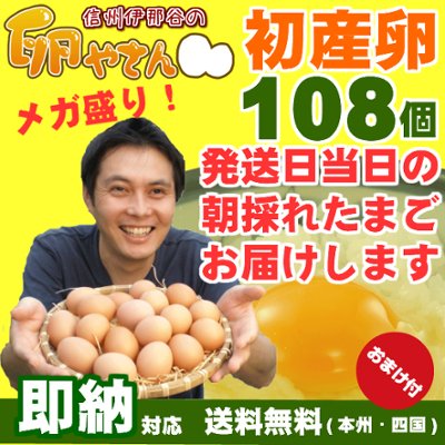 初産み卵！80個+破損保証おまけ28個の画像