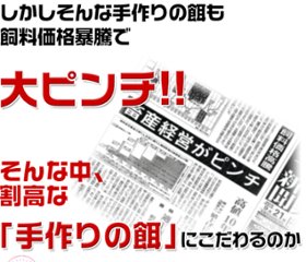 初産み卵！80個+破損保証おまけ28個画像