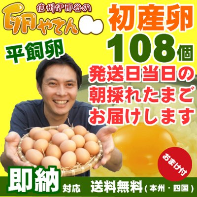 平飼い卵の初産み卵80個＋破損保証のオマケ28個の画像