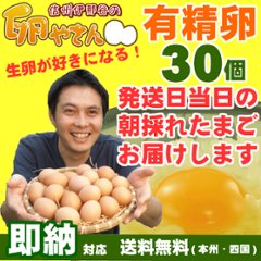 ■自動継続タイプ■有精卵30個の画像