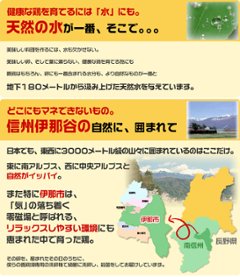 平飼い卵の初産み卵80個＋破損保証のオマケ28個画像