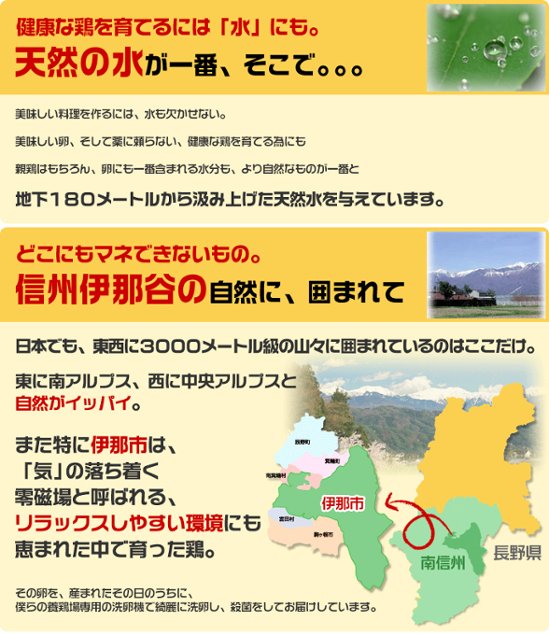 平飼い卵の初産み卵80個＋破損保証のオマケ28個画像