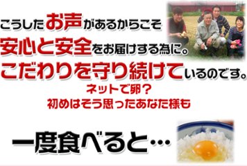 平飼い卵の初産み卵80個＋破損保証のオマケ28個画像