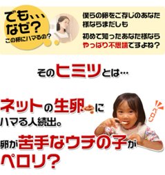 平飼い卵の初産み卵80個＋破損保証のオマケ28個画像
