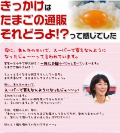平飼い卵の初産み卵80個＋破損保証のオマケ28個画像