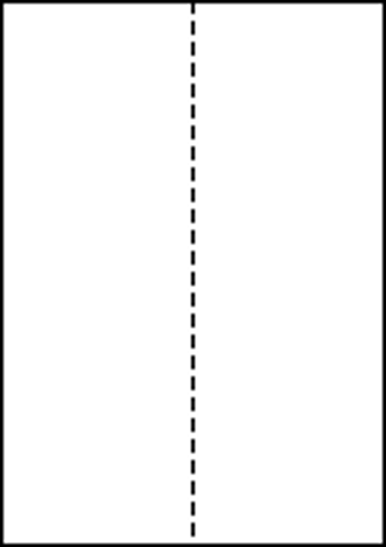 A5 白紙上質55kg 縦長2分割/マイクロミシン目入り用紙 4,000枚画像