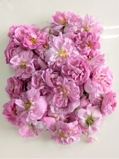 朝摘みダマスクローズ（花冠）の画像