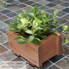 ミニプランター◇国産杉 （ダックスプランター100型長さ210ｍｍ）画像