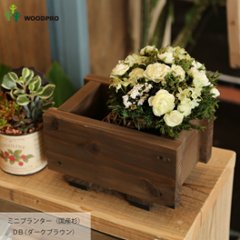 ミニプランター◇国産杉 （ダックスプランター100型長さ210ｍｍ）の画像