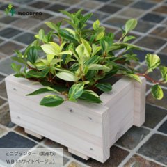 ミニプランター◇国産杉 （ダックスプランター100型長さ210ｍｍ）画像