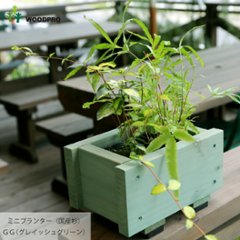 ミニプランター◇国産杉 （ダックスプランター100型長さ210ｍｍ）画像