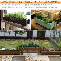 ダックス プランター100型（長さ600ｍｍ）【木製プランター】【スリムプランター】画像