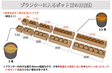 スリムプランター 幅600mm＋専用脚 高さ100mmタイプ セット画像