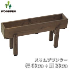 スリムプランター 幅600mm＋専用脚 高さ200mmタイプ セットの画像