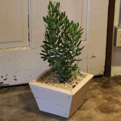 寄せ植えプランター（深底）Ｓサイズ　幅260ｍｍ×奥行260ｍｍ×高さ180ｍｍ画像