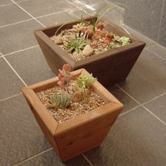 寄せ植えプランター（深底）ＸＳサイズ　幅210ｍｍ×奥行210ｍｍ×高さ180ｍｍ画像