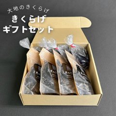 大地のきくらげ3種セット（生きくらげ・乾燥きくらげ・乾燥カットきくらげ）国産・桶川の画像