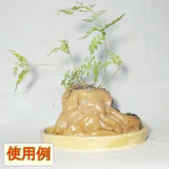 ミニ2段植木鉢A画像