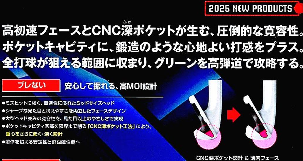 RomaRo Ray TYPE R PLUS IRON 装着シャフト(NS950GH／DG S200)画像