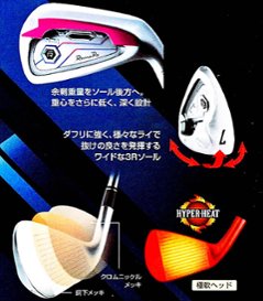 RomaRo Ray TYPE R PLUS IRON 装着シャフト(NS950GH／DG S200)画像