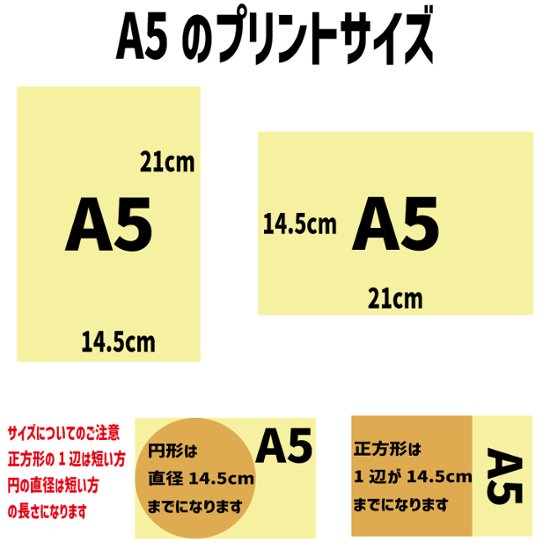 United Athle 10.0オンス T/C スウェット プルオーバー パーカ（裏起毛） 男女兼用 お好きなプリントをお入れします 愛犬の犬服とのリンクコーデにもおすすめ画像