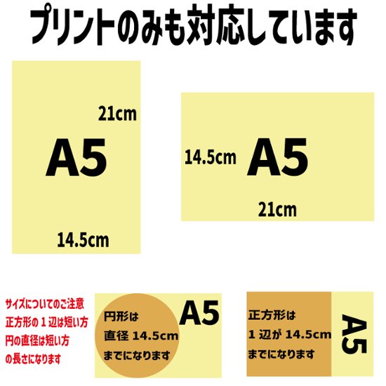 持ち込み商品用DTFプリント A5サイズ　14.5x21cm画像