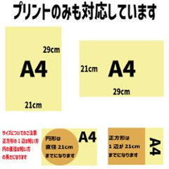 持ち込み商品用DTFプリント A4サイズ　21x29cmの画像
