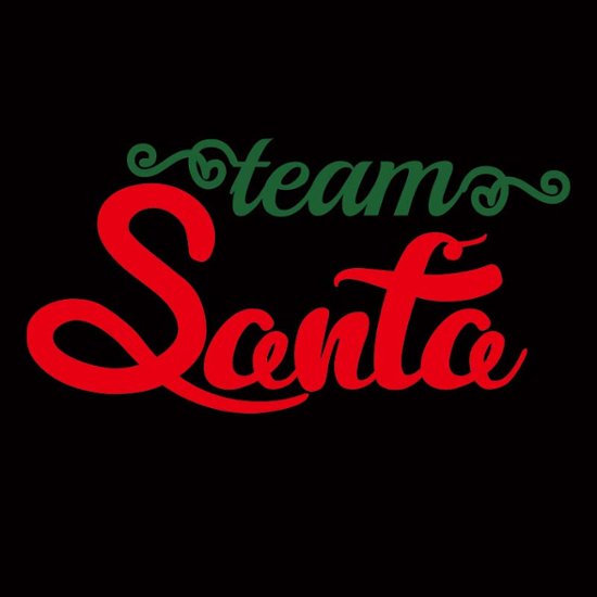 クリスマス柄 【TEAM SANTA】 犬用パーカー スウェットパーカー ジップポケット付き犬服 超小型犬〜大型犬 お好きな犬服やTシャツ等にもプリント出来ます画像