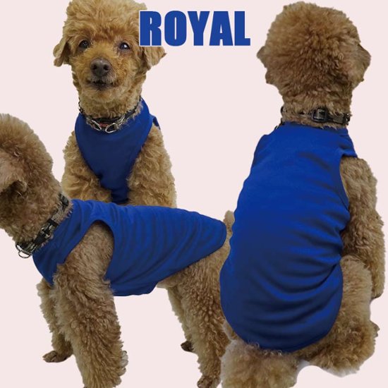 愛犬の名入れが出来る メッシュタンクトップ 漢字縦書きタイプ　名前入り犬服 お好きな犬服やTシャツ等にもプリント出来ます画像