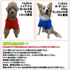愛犬の名入れが出来る ローマ字横書きアルファベットタイプ 犬用Tシャツ 名前入り犬服  超小型犬〜大型犬 プリントカラーは10色　お名前だけで作れます画像