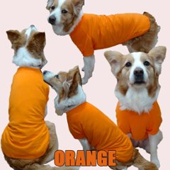 愛犬の名入れが出来る 犬印良品！品質表示風名入れ コットン100％Tシャツ 超小型犬〜大型犬 名前入り犬服 お好きな犬服やTシャツ等にもプリント出来ます画像