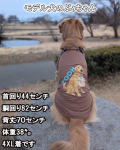 愛犬の名入れが出来る 犬印良品！品質表示風名入れ コットン100％Tシャツ 超小型犬〜大型犬 名前入り犬服 お好きな犬服やTシャツ等にもプリント出来ます画像