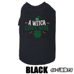 ハロウィン柄！A-WITCH-LIVES-HERE 　お好きな犬服やTシャツ等にプリント致します画像