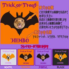 ハロウィン柄！愛犬の写真と名入れが出来ます　BATTY お好きな犬服やTシャツ等にプリント致します画像