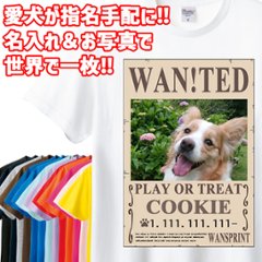 愛犬の名入れ＆写真プリント 【WAN!TED】うちの子Tシャツ パロディー柄 指名手配 WANTED  半袖Tシャツの画像