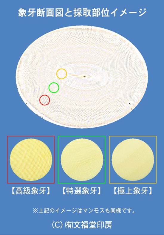 【秀碩の工房】個人認用はんこ：特選象牙10.5㍉丸画像