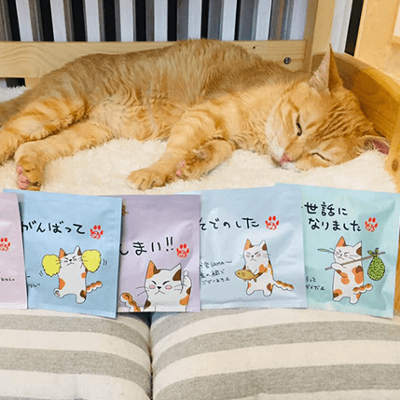 ねこ茶（ねこちゃ）知覧茶/ほうじ茶の画像