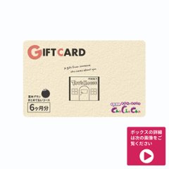 【ギフト】基本プラン6ヶ月パック（ボックスタイプ)の画像