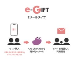 【ギフト】基本プラン6ヶ月パック（Eメールタイプ)画像