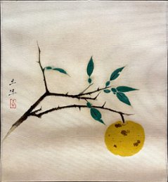 奥村土牛　「柚子」の画像