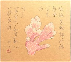 岩波天道　「花野菜珊瑚」の画像