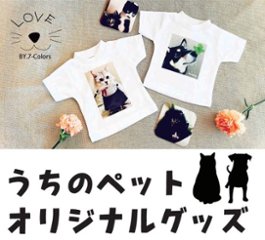 ロックグラス　オリジナルペットグッズ　写真彫刻　底面カット入り画像