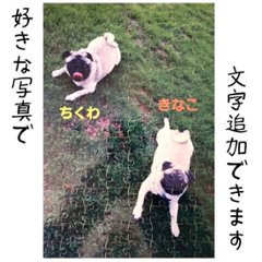 ジグゾーパズル 120ピース オリジナル カラープリント 昇華転写 写真印刷 ギフト画像