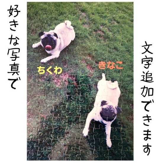 ジグゾーパズル 120ピース オリジナル カラープリント 昇華転写 写真印刷 ギフト画像