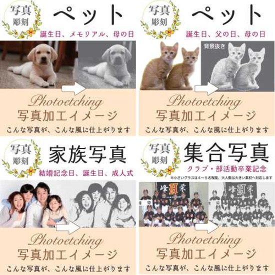 サンドブラスト加工　持ち込み素材　写真彫刻　高精細彫刻　５Ｌサイズ　1200㎠以内　長辺60cm迄画像