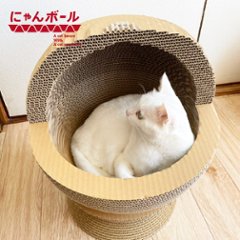 にゃんボールパックン画像