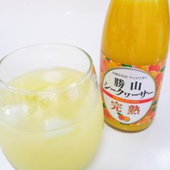 勝山シークヮーサー原液300ml（青切りと完熟各1本）画像