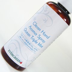 オーシャントリプルミント：手指消毒・携帯タイプ100ml【アルコール除菌液60%】Clean Hand Aroma Sprayの画像