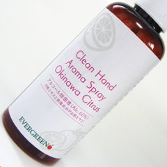 【新商品】沖縄シトラス：手指消毒・携帯タイプ100ml【アルコール除菌液60%】Clean Hand Aroma Spray画像