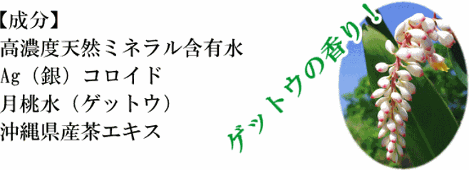 害虫対策｜室内用「不快な害虫ノンノン」スプレータイプ 500ml：制虫・消臭に画像